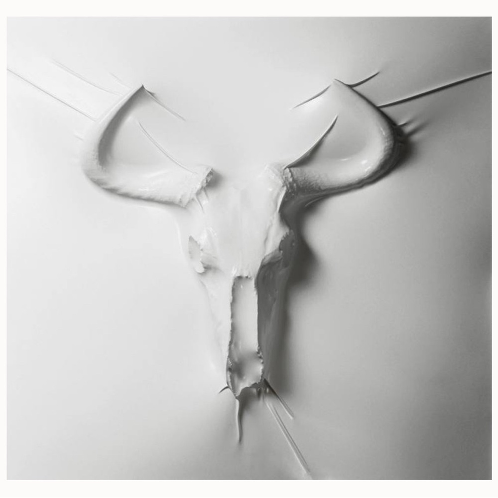 White Bull Skull Art Print